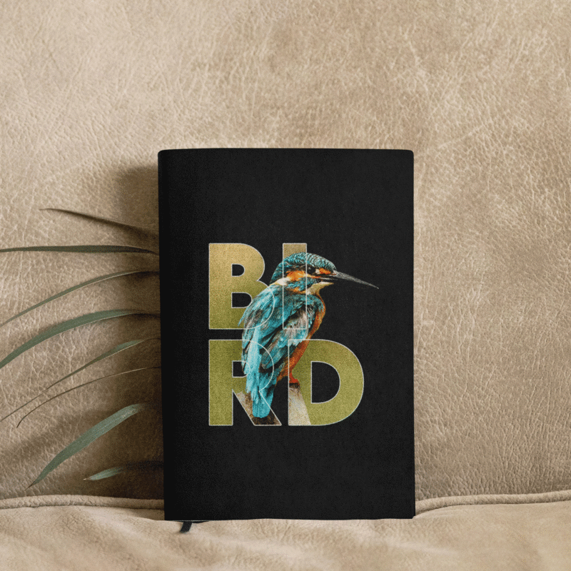 BIRD Artistic Kingfisher Illustration Notebook Design